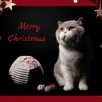 NOËL