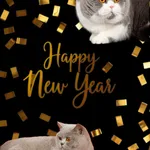 Welcome 2026
